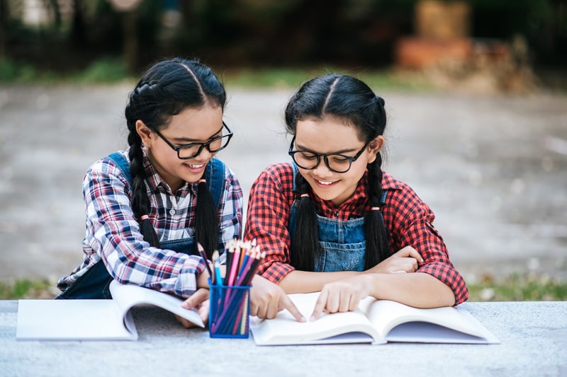 twins studying together outside